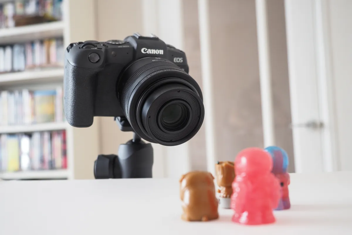 Bí quyết làm chủ các chế độ chụp macro focus bracketing & focus stacking giúp bức ảnh nét cực sâu